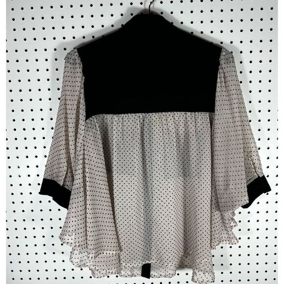 Double Zero polka dot  sheer blouse - Picture 2 of 6